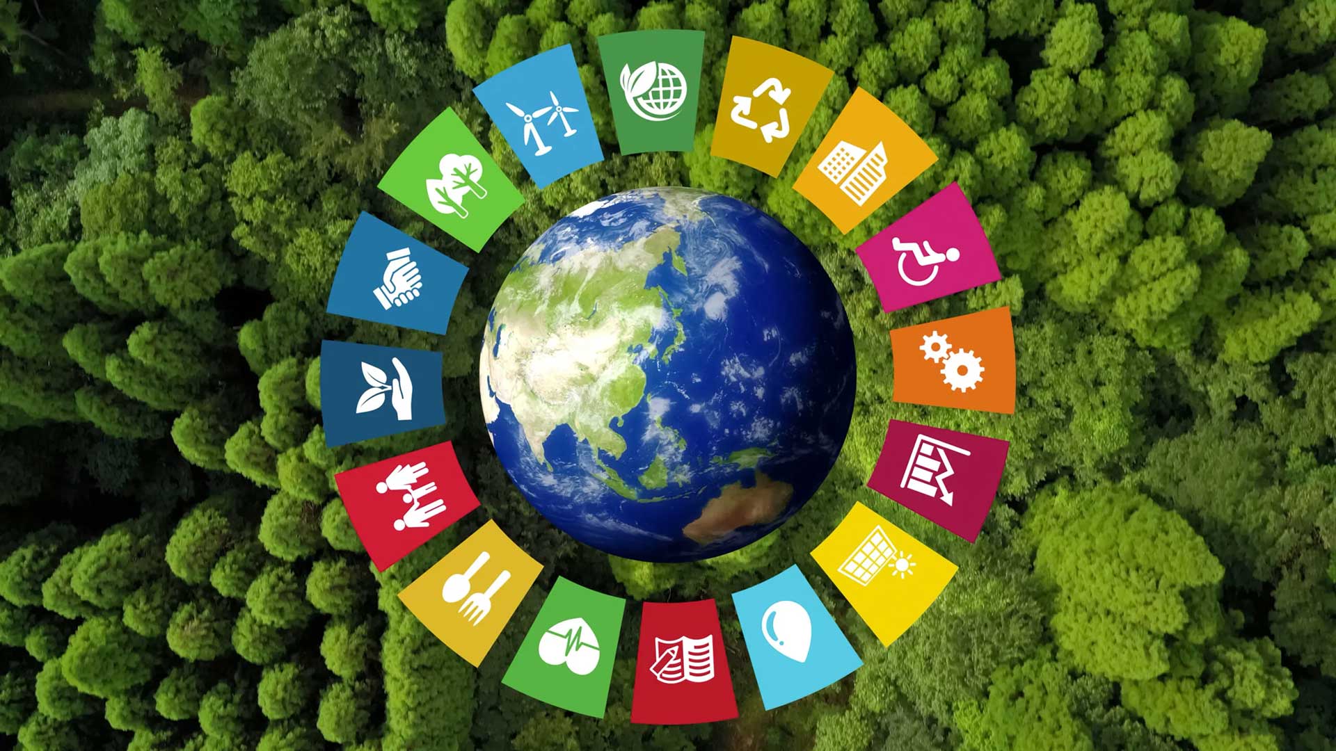 Board leadership in companies driven by sustainability and SDGs