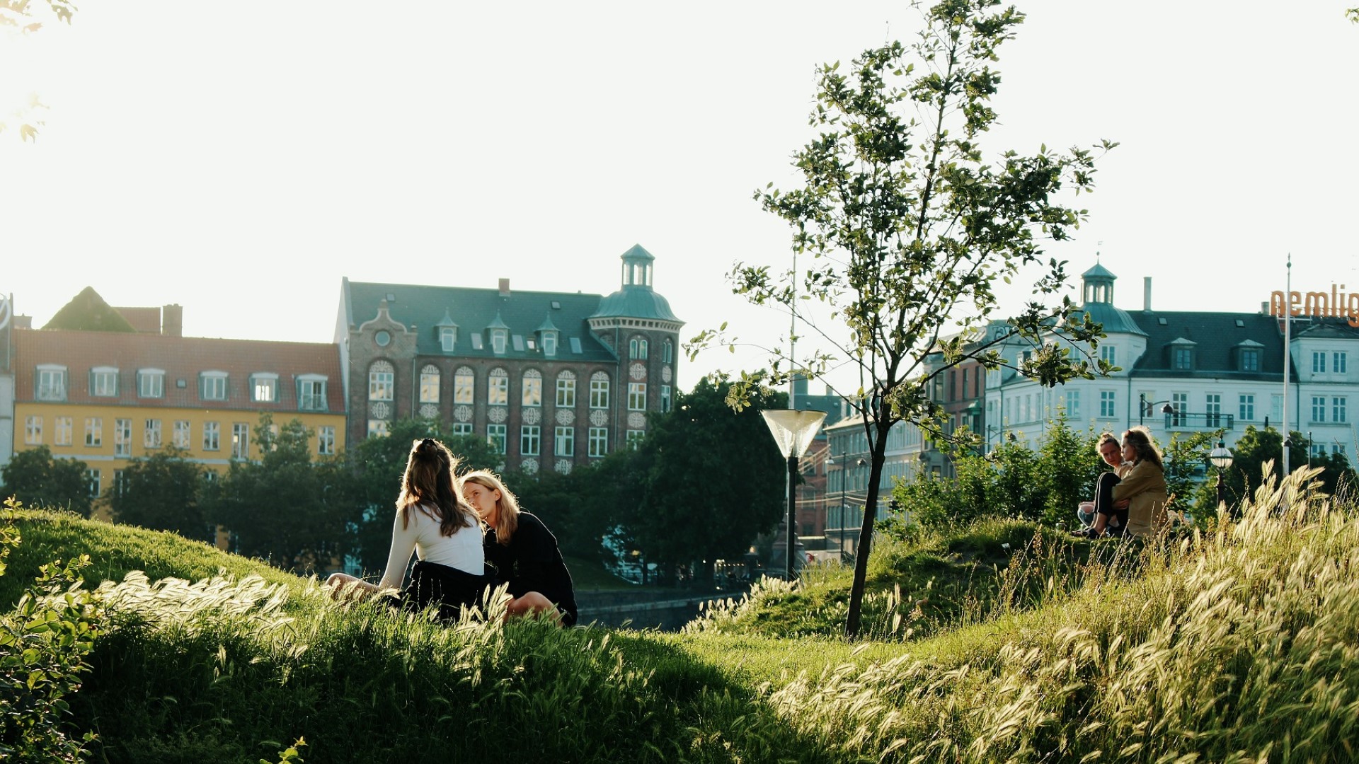 Mennesker på græsplæne kbh ©DTU billede Mennesker på græsplæne kbh