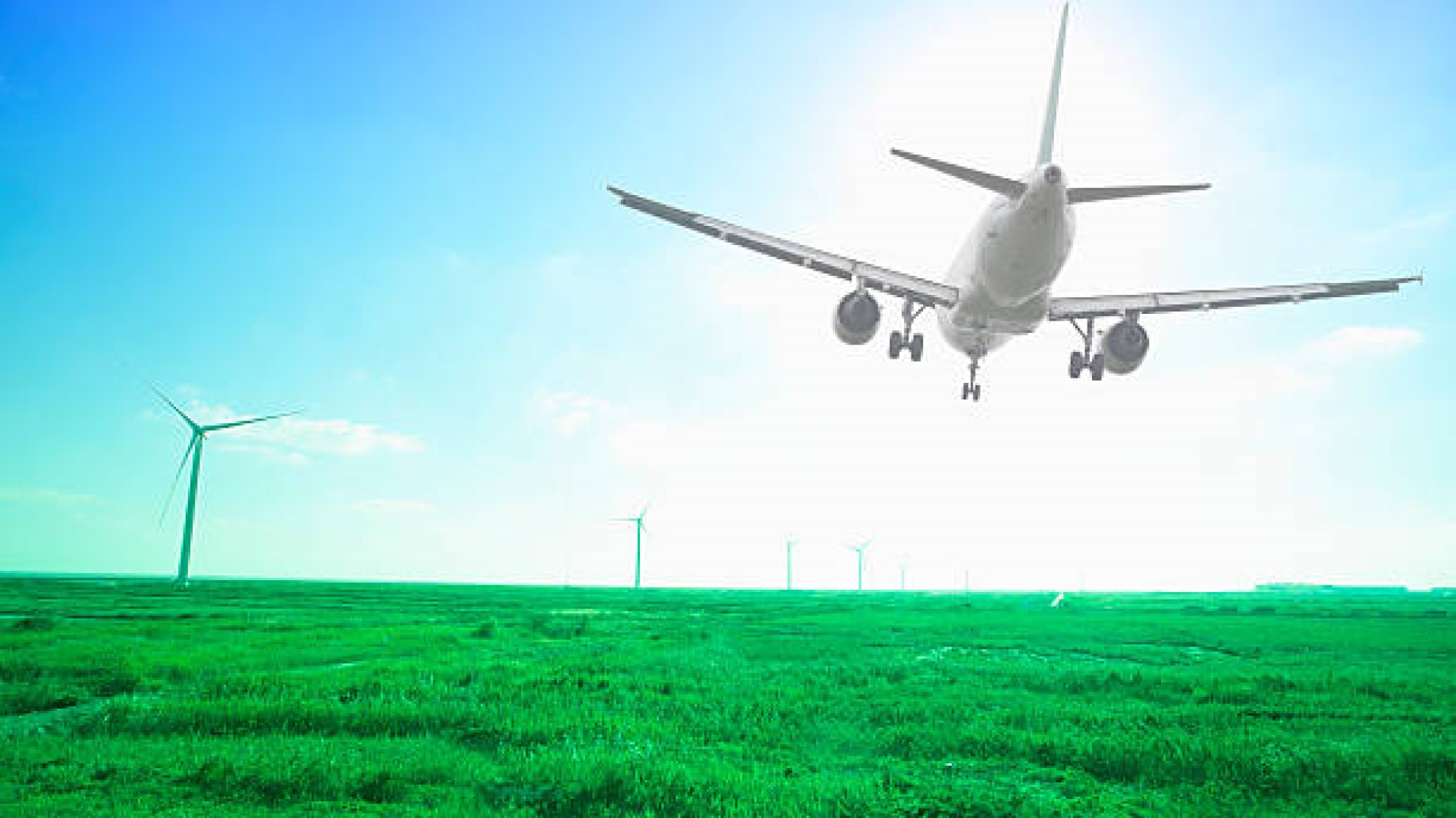 Fly og vindmøller ©Istockphoto.com Fly og vindmøller