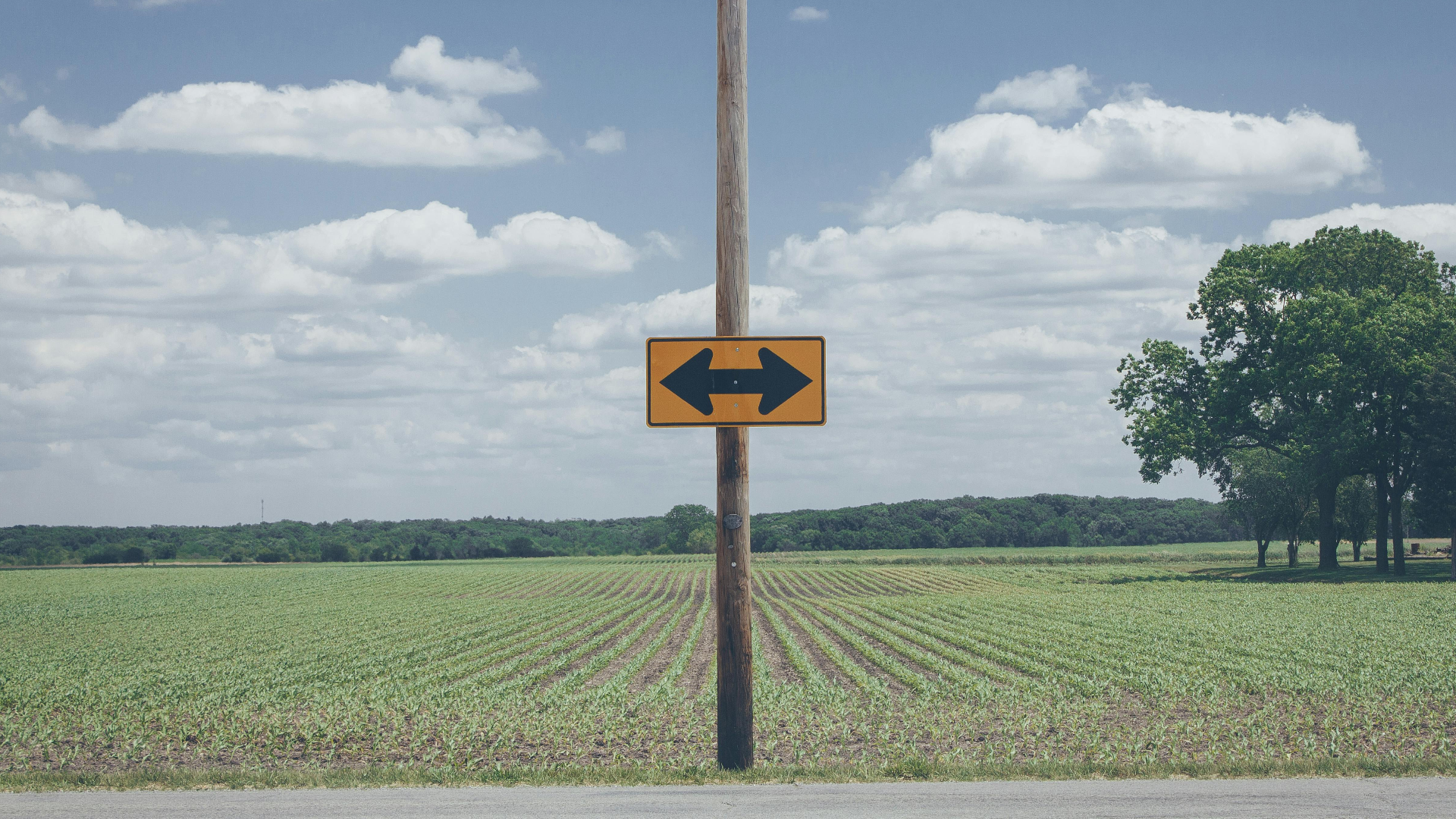 Picture of a crossroads in nature.