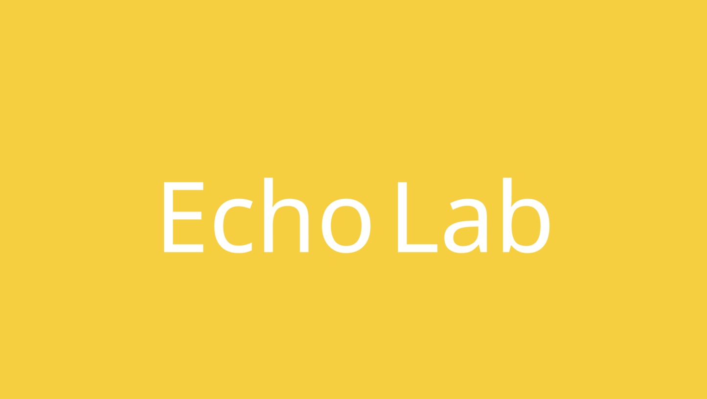 Echo Lab Spot
