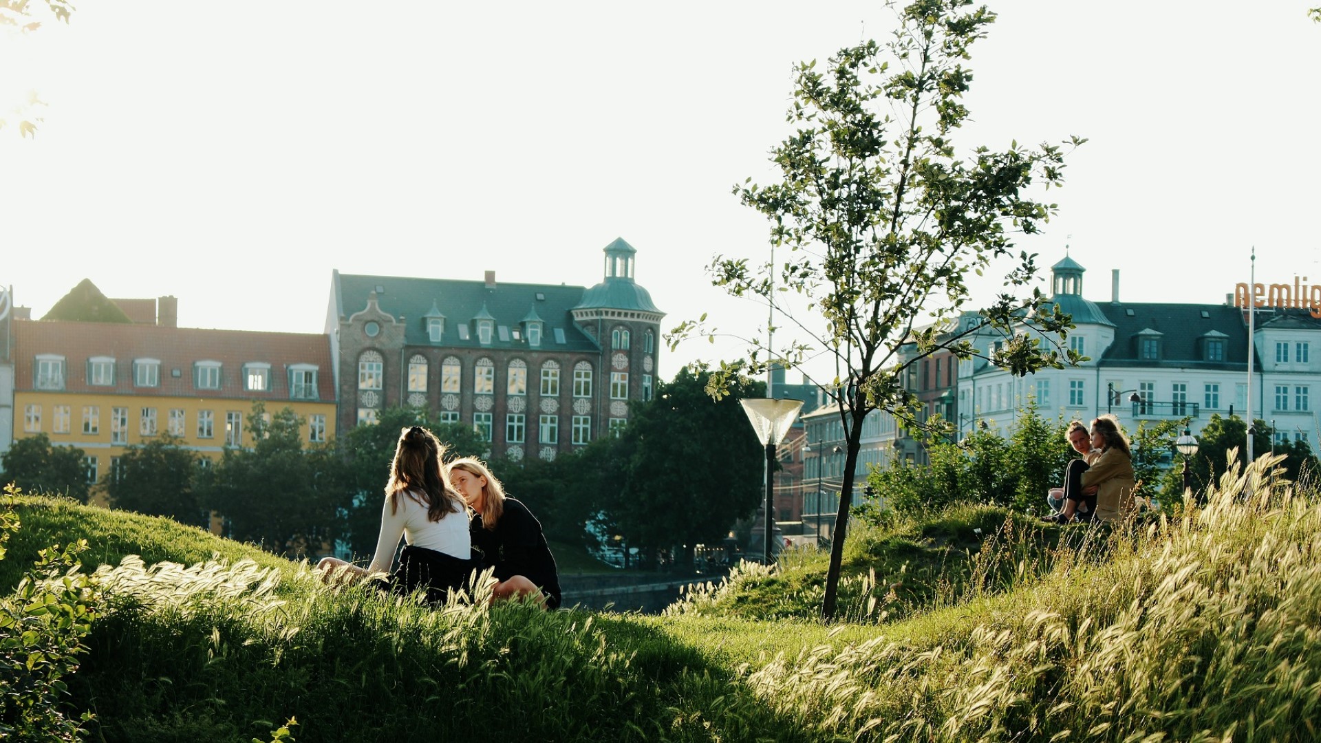 People on lawn in cph